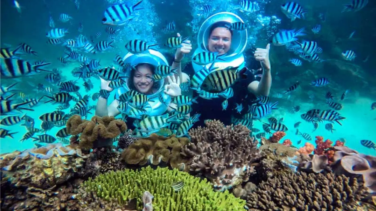 Snorkelling among the Corals: