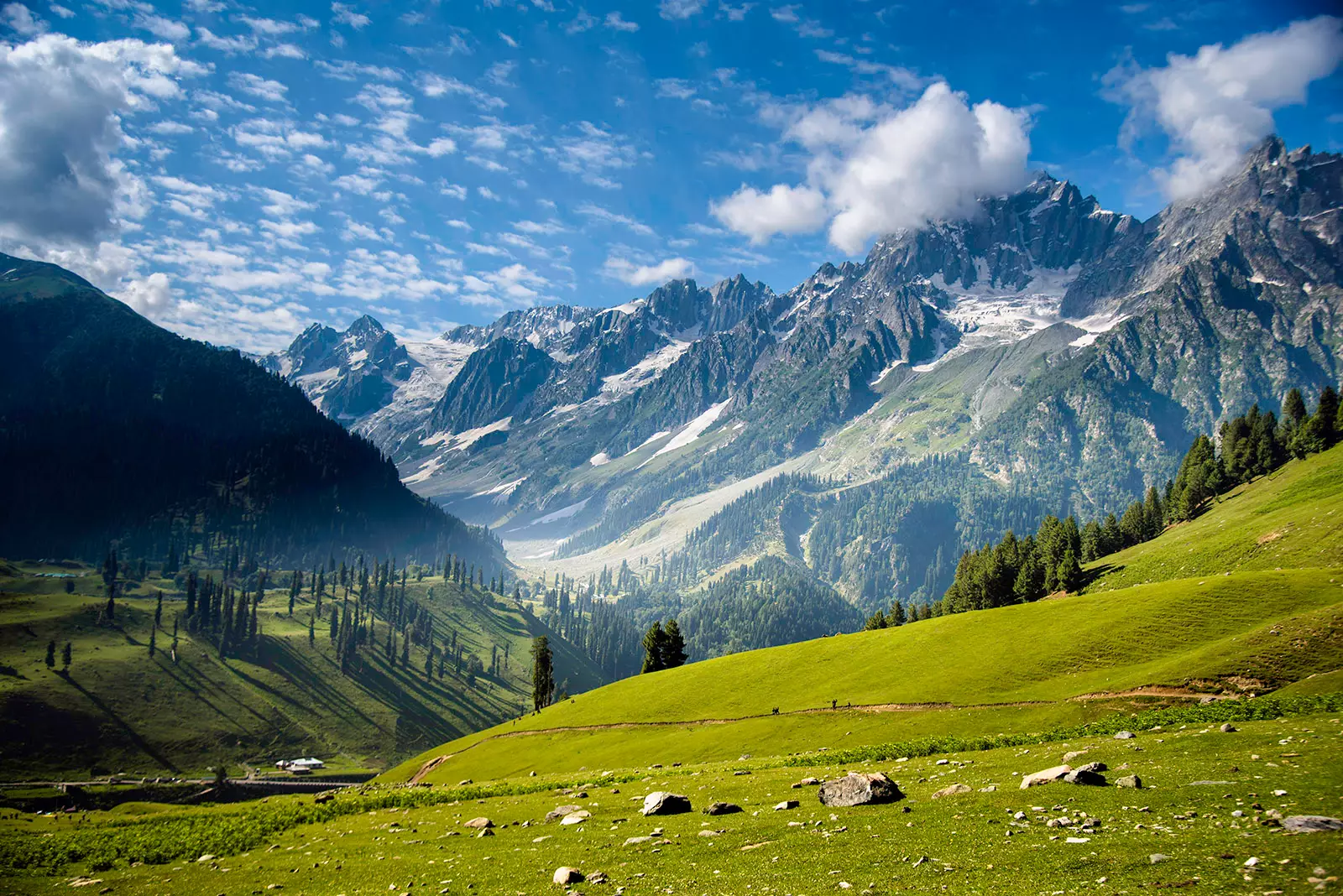 Kashmir Group Tour