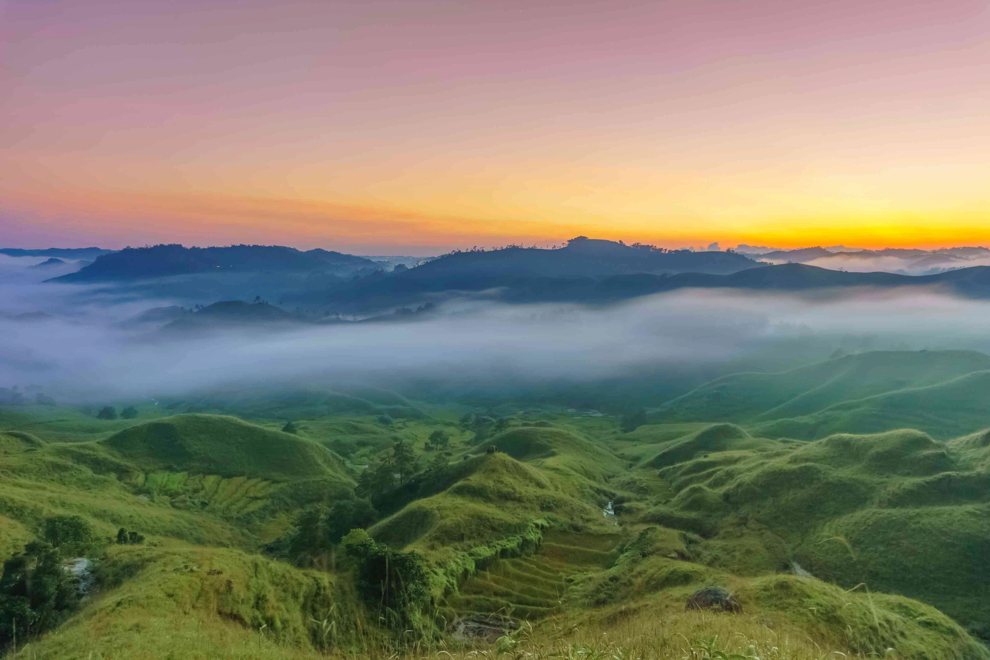 Dzukou Valley of Meghalaya