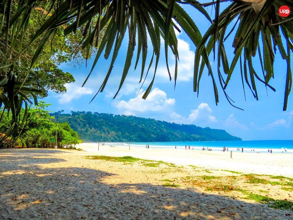 Pristine Beach of Radhanagar